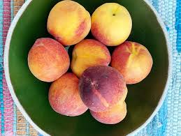 Danielle Biel (@auberginechiodo) • Instagram photos and videos