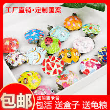 Yang membuatnya semakin menggemaskan adalah rumah atau cangkangnya yang indah yang memunculkan kesan artistik dan menjadikan kita. Buy Bersih Merah Tujuh Warna Kura Kura Kecil Kura Kura Hidup Berwarna Warni Melihat Kilang Benih Penyu Terus Menjual Kartun Peliharaan Gerai Berwarna Warni Kura Kura Kecil Online In Malaysia 606026525604