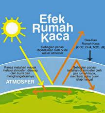 Efek rumah kaca pertama kali dikenalkan pada masyarakat umum pada tahun 1824 oleh ilmuwan yang bernama joseph fourier. Efek Rumah Kaca Pengertian Penyebab Akibat Cara Mengatasi Dosenpintar Com