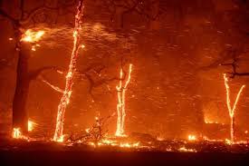 By november, parts of california begin to feel like winter is coming. Covering The Fire Terror In California S Lost Paradise