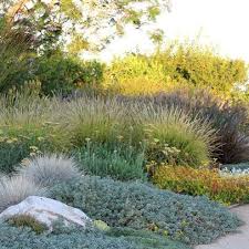 Bliss Garden Design S Photos Garden Design Landscape Design Dry Garden