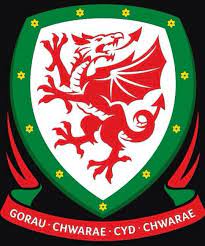 Inter cardiff (old logo), wales. Fa Wales Badge Togetherstronger Euro2016 Wales Fawales Football Team Logos Welsh Football National Football Teams