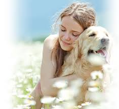 Maybe you would like to learn more about one of these? Westown Veterinary Clinic Animal Hospital In Waukesha Wi