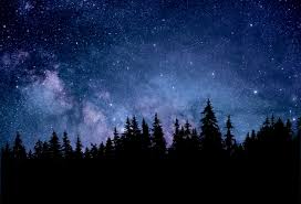 Desktop wallpaper rose wallpaper 4k wallpaper space wallpaper. Night 4k Wallpaper Starry Sky Forest Silhouette Astronomy Cosmos 5k Nature 1679