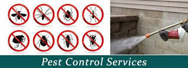 If termites are found, we'll offer you a free termite inspection, saving. Techniques For Dealing With Pest Control Measures Posts By Austin Baines Pest Control Best Pest Control Pests