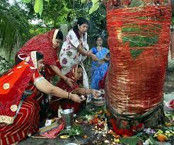 Vat savitri fast is observed on amavasya of krishna paksha in jyeshta month. Vat Savitri Vrat 2020 Date Timing Puja Vidhi And Importance Of Worshipping Banyan Tree On This Day