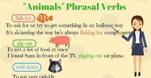Notice that they are all verbs. Animals Phrasal Verbs In English With Meanings Examples Eslbuzz Learning English