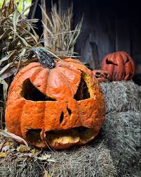 Image result for fat ass pumpkin