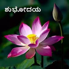 Morning Night In Kannada For Android Apk Download You can download or direct link all good. morning night in kannada for android