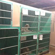 Advanced pet care of parker is affordable and is not in the business of profiting off of animals. Working At Parker Pet Care Glassdoor