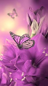 Download Cute Butterfly Wallpapers For Mobile Phones Wallpaper Cave
