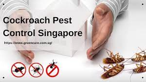 Cockroach Pest Control Singapore Pest Control Pests Cockroaches
