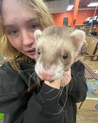 Georgia Lyons (@georgia_lyons_) • Instagram photos and videos