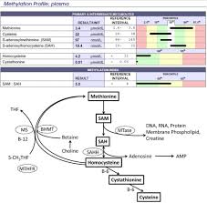 pin on health methylation