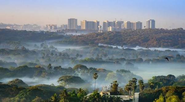 Sanjay Gandhi National Park" Images – Browse 3 Stock Photos, Vectors, and Video | Adobe Stock