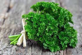 Bingung memilih saus apa yang cocok dengan masakan anda? 5 Daun Herba Utama Yang Digunakan Dalam Masakan Prancis Intip Yuk