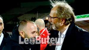 « on ne peut pas être compétitif sans énergie! Algerie 1 Gambie 1 Belmadi Je Ne Suis Pas Satisfait Du Resultat Algerie360