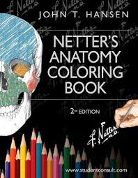 Download Netter Atlas Pdf Free 6th Edition Human Anatomy Atlas Anatomy Anatomy