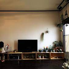 リビング テレビ コウモリラン 鹿の角 林檎木箱 などのインテリア実例 2015 03 03 09 15 37 roomclip ルームクリップ インテリア テレビ台インテリアアイデア りんご 箱