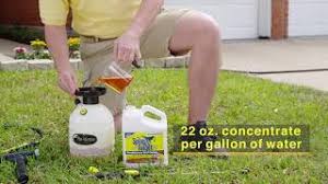 Spray And Forget Roof Cleaner How To Video Youtube