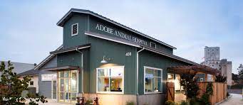 Adobe Animal Hospital - Your Petaluma Veterinarian
