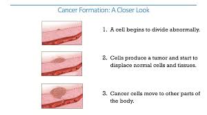They may be benign or malignant. Regulating The Cell Cycle Ppt Download