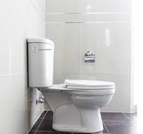 1 pièce de poignée de chasse d'eau en métal, poignée de levier de toilette,  poignée remplaçable pour réservoir d'eau de toilette, convient à la ...