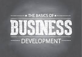 A business development manager (bdm) is the person in charge of generating new business for a company. The Basics Of Business Development Volusion