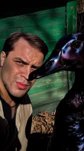 Dogue de Bordeaux x Newfoundland #doguedebordeaux #newfoundland