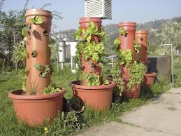 Growing Salads Fruits And Herbs Vertically Not Only Allows Urban Dwellers To Grow Food In Small Spaces But Follows T With Images Vertical Herb Garden Permaculture Plants