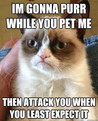 Don T They All That S Part Of Why I Love Cats Unpredictable Grumpy Cat Humor Grumpy Cat Quotes Grumpy Cat Meme