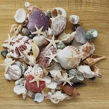 The interior continues with the blue/gray color theme that is a great combination of cozy and airy. 100pcs Mixed Ocean Sea Shells Wedding Decor Beach Theme Party Seashells Home Decorations Fish Tank Candle Making Sea Star Shells Starfishes Aliexpress
