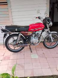 riquimbilis pinar del río