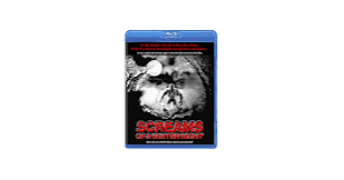 Amazon.com: Screams of a Winter Night [Blu-ray] : James L. Wilson, Gil  Glasgow, Matt Borel, Patrick Byers, Mary Agen Cox, Robin Bradley: Movies &  TV