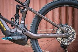 Image result for Orbea knobelii