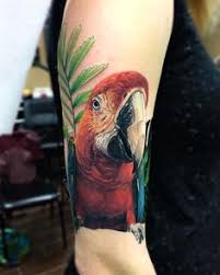 12 Macaw tattoos ideas