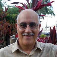 ssd crucial 256 gb are these numbers good ?