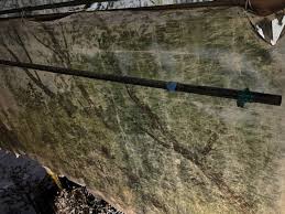 Travels of a Scenic Artist and Scholar: Scenic Artist Walter Hann.