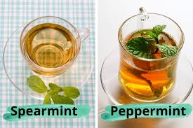Although confusing which type of mint (peppermint vs. Peppermint Tea Vs Spearmint Tea For Acne Which Is Better