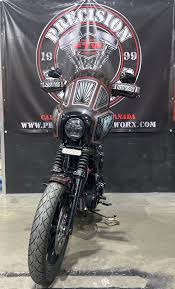 Image result for Vivid Black 1993 FXR
