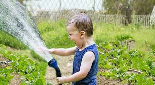 This fact sheet will provide the basics of how to make a new vegetable garden, starting with site selection, and then covering soil testing, preparing the ground, cover cropping, and making a plan for fertilizing, weeding, and irrigating your new garden. What Is The Best Watering System For A Vegetable Garden Classygardening