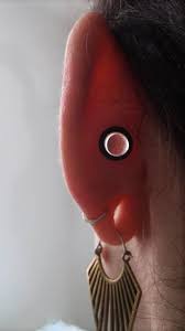 check out this fully healed 5mm conch punch installed with a single flare glass plug loughborough originarts body mods body jewelry piercing cool piercings
