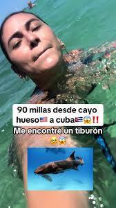 Si estas en Florida aqui deberias venir en tus vacaciones🇺🇸 #miami  #florida #vacations #vlog #viajes #trip #latinosenusa #latinosbelike  #latinosenusa🇺🇸 #latinos #viajando