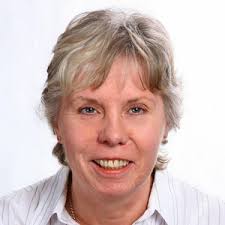 Hampshire County Council local election: The 4 candidates in Winchester  Downlands