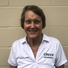 State qualifiers Cronk, Sydeski, Visscher lead All-Area girls swimming team