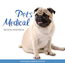 Places pomona, california medical & healthmedical centerhospital all pets medical & surgical center. All Pets Medical Surgical Center Home Facebook