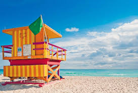 Check spelling or type a new query. 15 Top Rated Beaches In Miami Fl Planetware