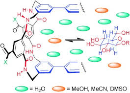 Noi ne facem viața un calvar. Solvent Effects In Carbohydrate Binding By Synthetic Receptors Implications For The Role Of Water In Natural Carbohydrate Recognition Klein 2008 Angewandte Chemie International Edition Wiley Online Library