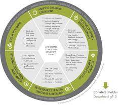 Jose Alcocer On Twitter Principles Curriculum Development Biomimicry Examples