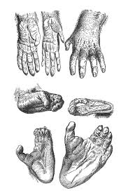 Pencil Drawing Made Easy Drawing Pencildrawing Art Learn To Draw Like A Master Artist Drawing Colorful Drawings Orangutan Gorillas Art